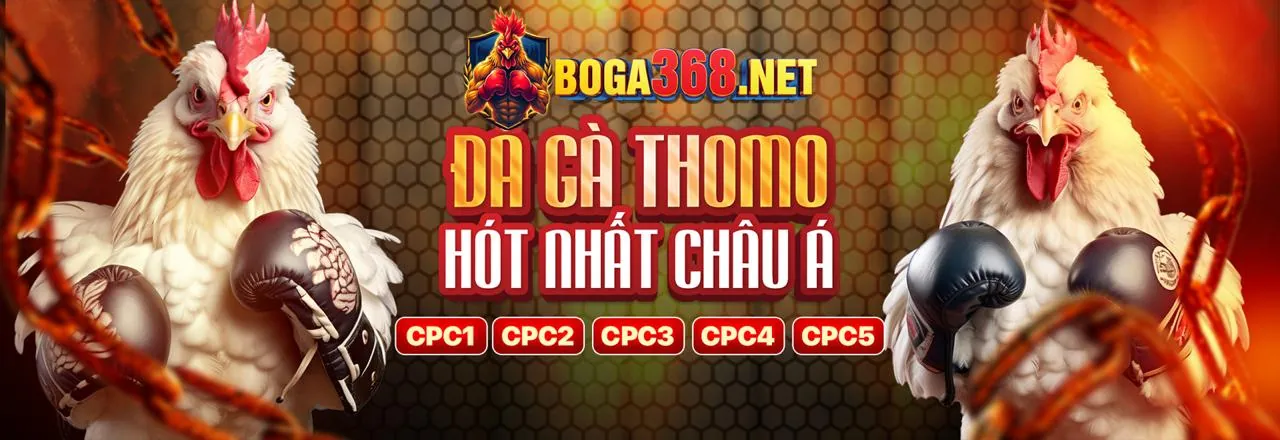 Đấu trường đá gà trực tuyến tại 8s
