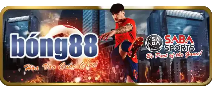 Các loại cookie được 8s sử dụng trong cá cược online